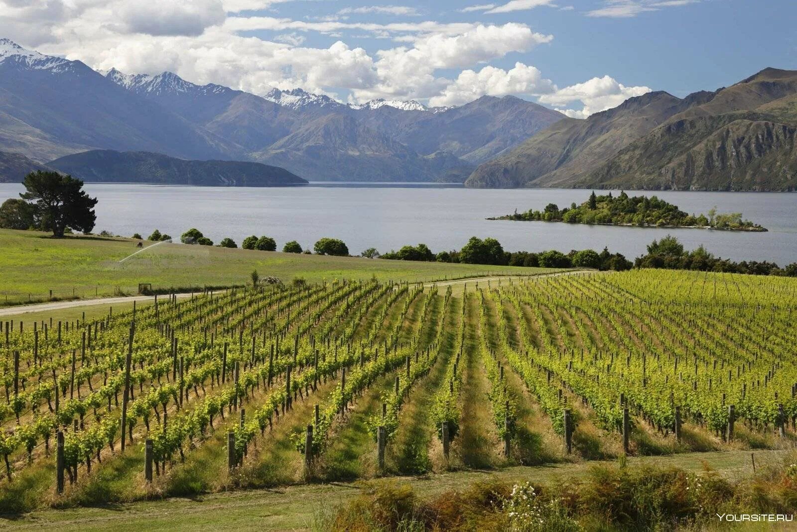 Промышленность новой зеландии. Виноградники Мальборо новая Зеландия. Долина Мальборо новая Зеландия. Марлборо (Marlborough, новая Зеландия) виноградники. Новая Зеландия Мальборо виноградники Терруар.