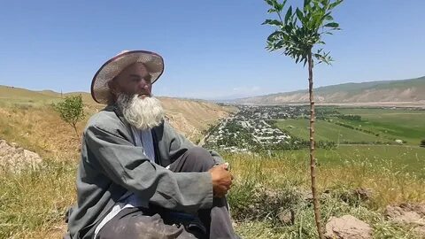 Погода в темурмалик на 10 дней