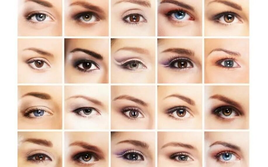 Разнообразие глаз. Формы глаз. Формы глаз человека. Различные формы глаз. Макияж на разный разрез глаз.