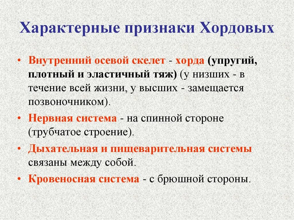 Назовите основные признаки хордовых;. Признаки хордовых животных. Основные признаки хордовых животных. Признаки характерные ходовых.