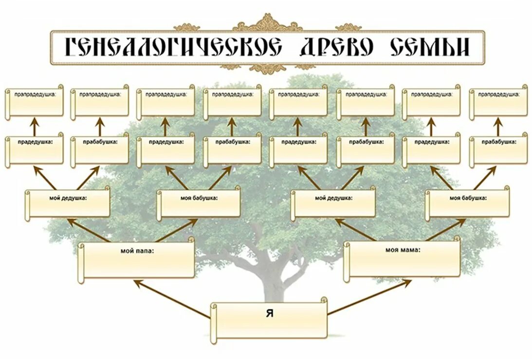 Шежере родословная 7 поколений. Семейное дерево поколений. Как составить родословную семьи для школы. Семейное древо 5 поколений. Фэмили древо фэмили генеалогическое.