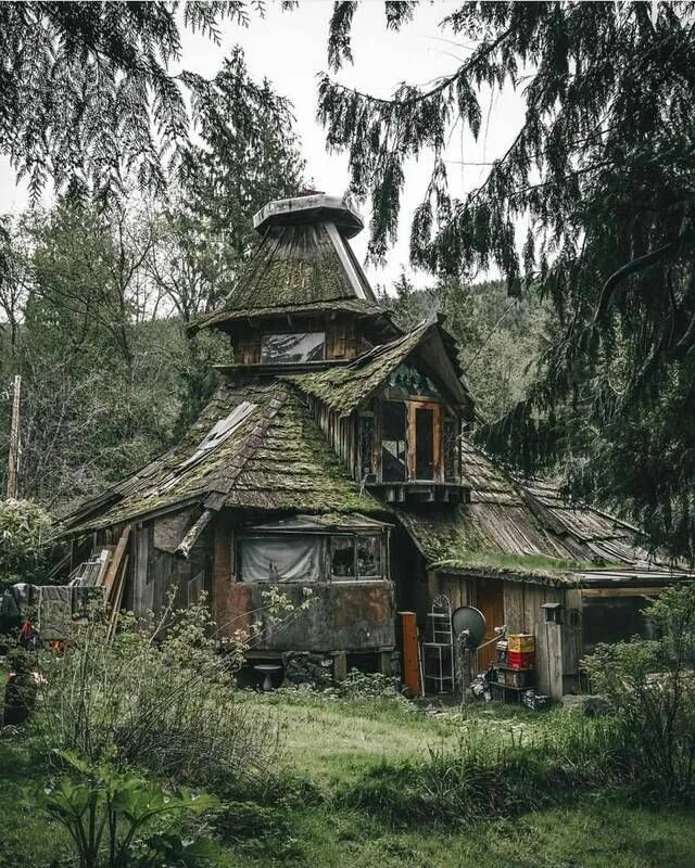 Усадьба ряйсяля мельниково. Лесная коммуна. Лесная коммуна. Заброшенная дача. Лесная коммуна.
