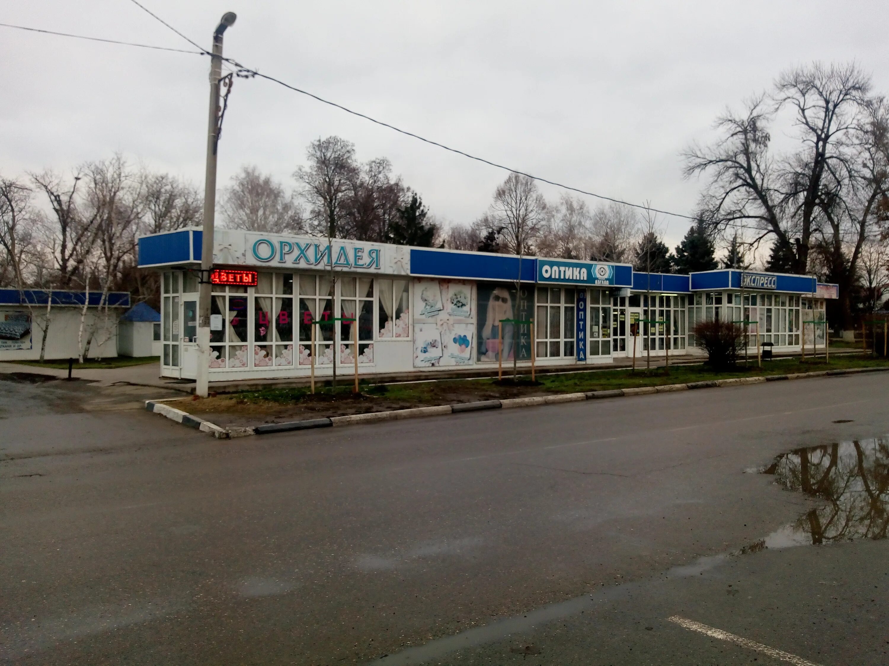 городские клумбы. дом семьи степановых в тимашевске. цветочный мир тимашевск. цветники города кирова. цветы тимашевск.