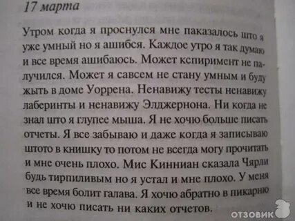 Цитаты элджернона