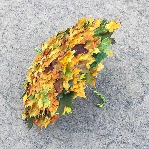 Blazy Days Umbrella Fall Autumn Leaves Umbrella Styling - Etsy Sweden Umbrella, 