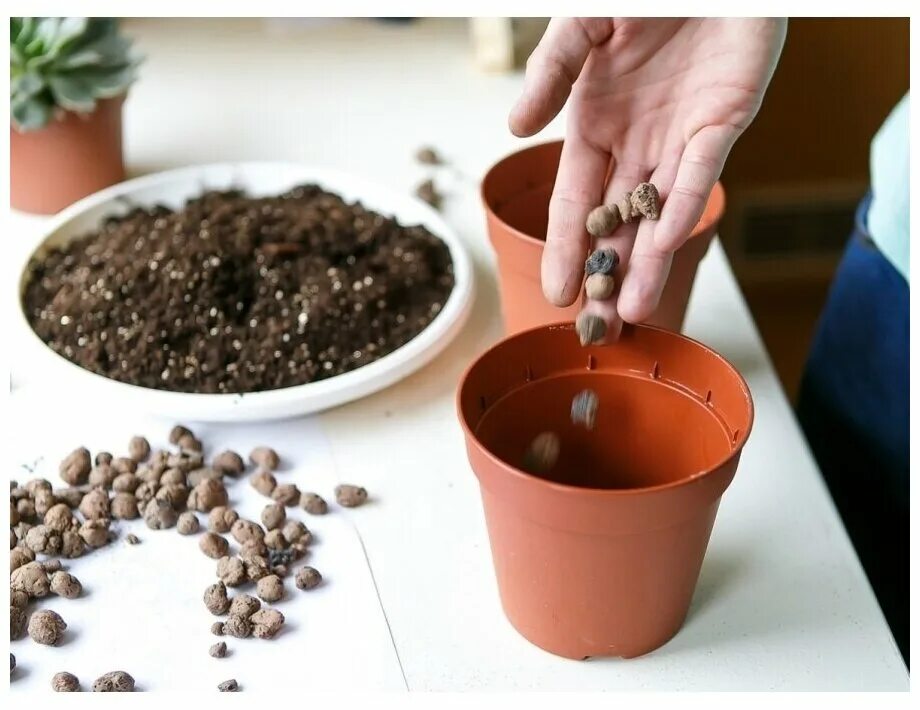 керамзит в горшках для цветов. дренаж керамзит. керамзит в горшках для цветов. керамзит в горшках для цветов. дренаж для комнатных растений.