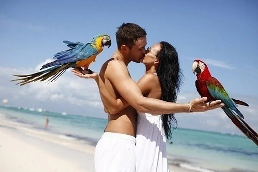 Попугаи на Бали. Девушка с попугаем. Доминикана любовь. Доминикана влюбленные. Летать вдвоем песня