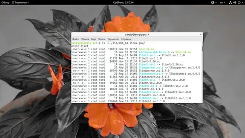 Linux libraries