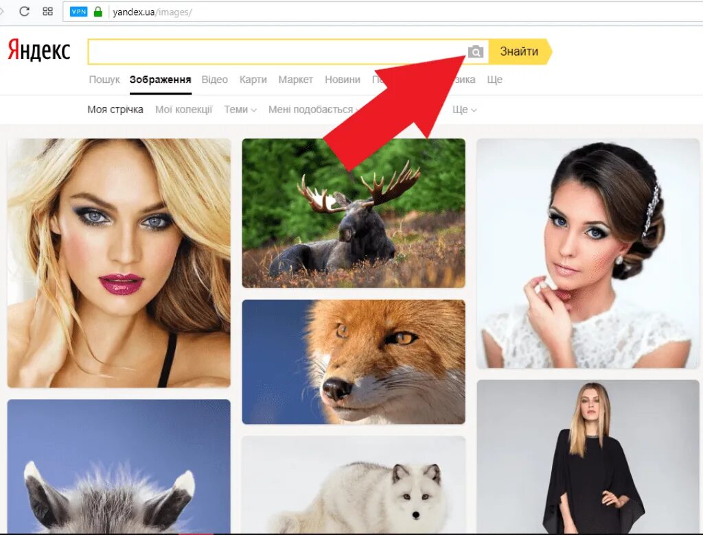 Найти картинку по фото. Найти по картинке в Яндексе. Яндекс картинки поиск по картинке. По картинке. Яндекс по картинке.