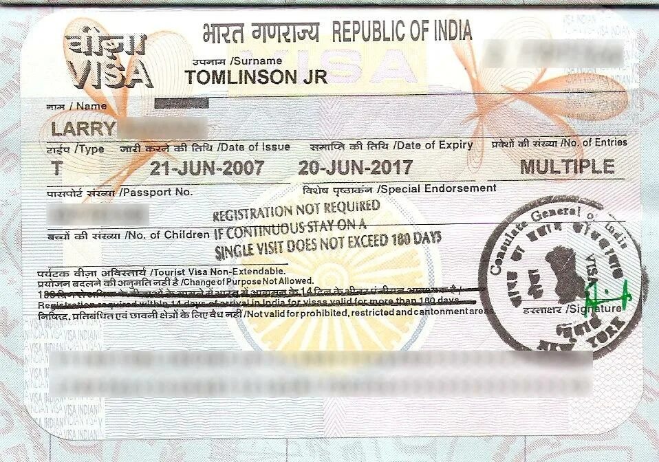 Indian visa. Виза в Индию. Visa India. Электронная бизнес виза в Индию. Indian e-Tourist visa.