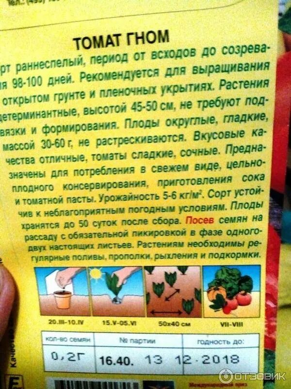Томаты гном отзывы фото. Томат весёлый Гном характеристика и описание. Помидоры Гном описание сорта. Томат Гном Аэлита. Томат Гном семена Аэлита.