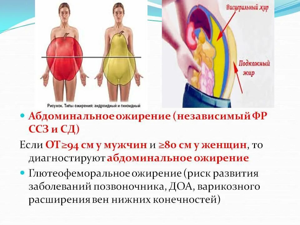 Живот у мужчин после 40 причины