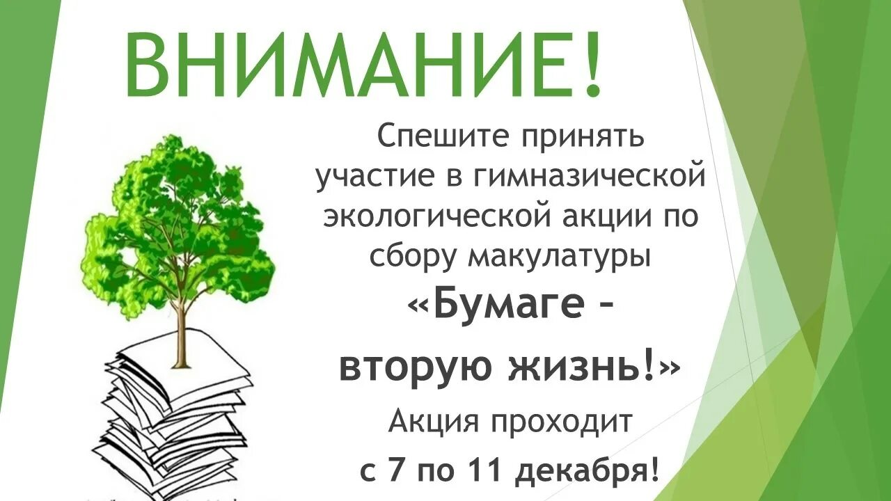 Правильно писать макулатура