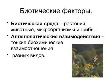 Биотические факторы окружающей среды