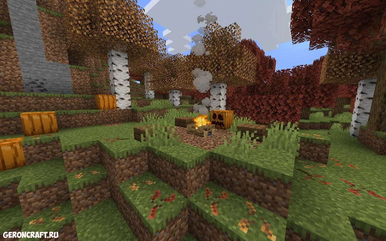 19. 12. 2. 1 13. Botania 1.