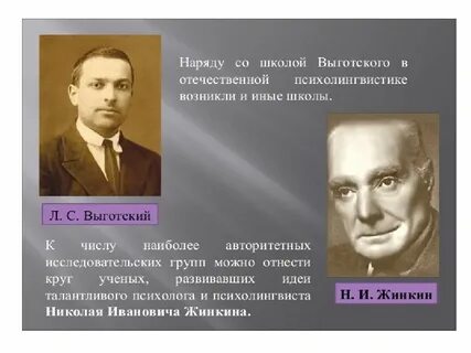 Жинкин лев это