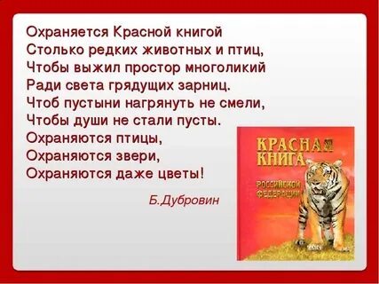 Защита проекта красная книга