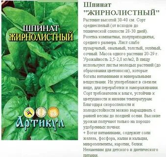 Шпинат полезные свойства и рецепты приготовления