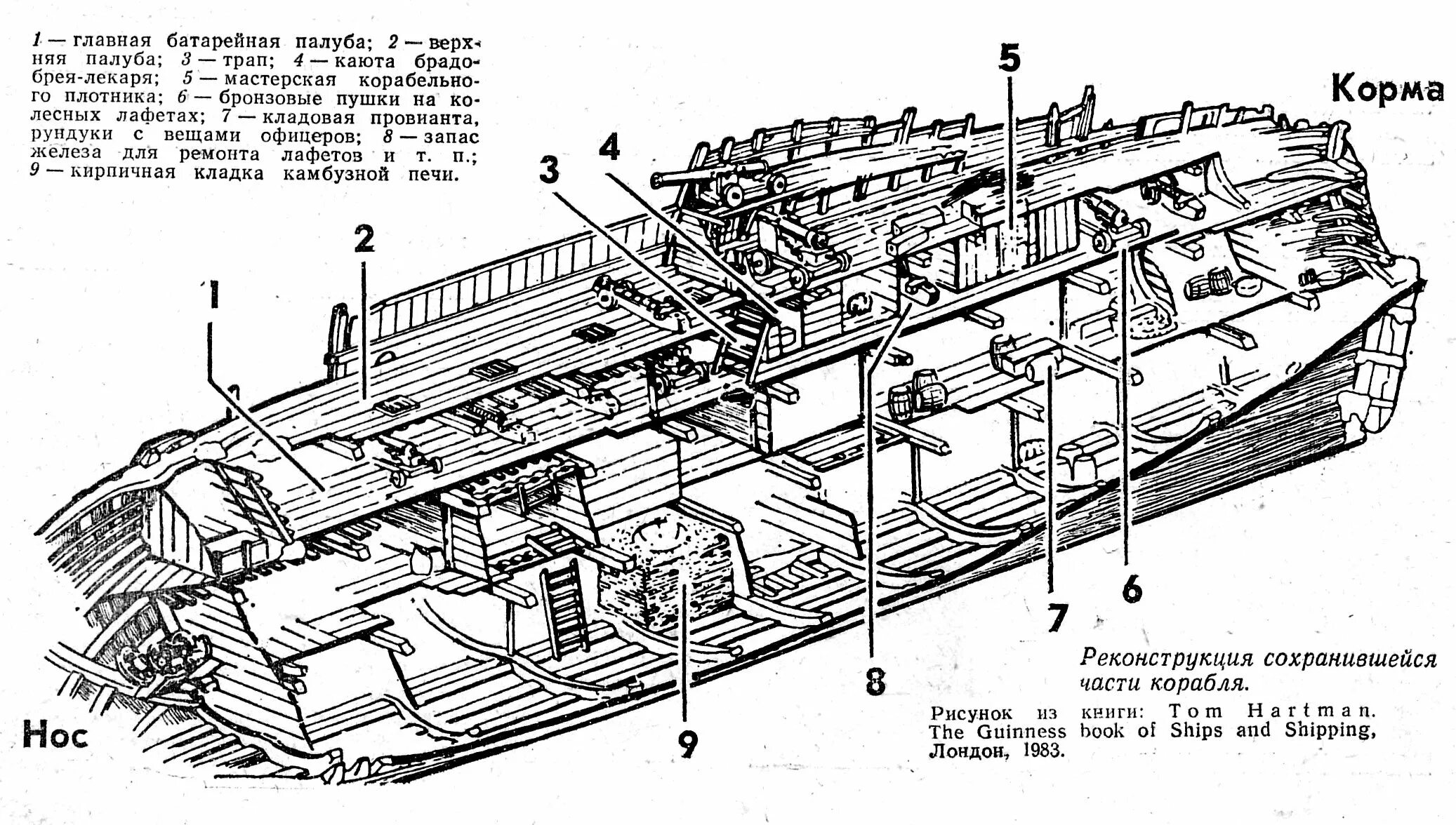 Корма палубы. Части судна схема. Части корабля, палуба корма нос и про. Схема отсеков корабля сбоку. Носовая часть корабля схема.