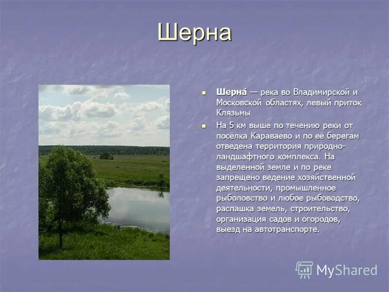 клязьма. притоки реки клязьма. русло клязьмы. водные объекты названия. исток реки клязьма 4 класс.