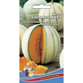 Дыня награда