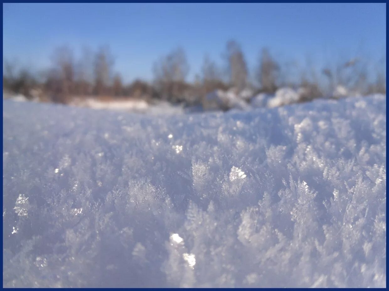 Снег покрыл все кругом. Снег. Снежное поле. Зимнее поле. Снег поле.