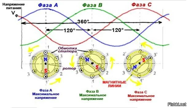 Вращающееся магнитное поле статора асинхронного двигателя. Вращающееся магнитное поле асинхронного электродвигателя. Принцип работы 3 фазного двигателя. Вращающееся магнитное поле трехфазного асинхронного двигателя.