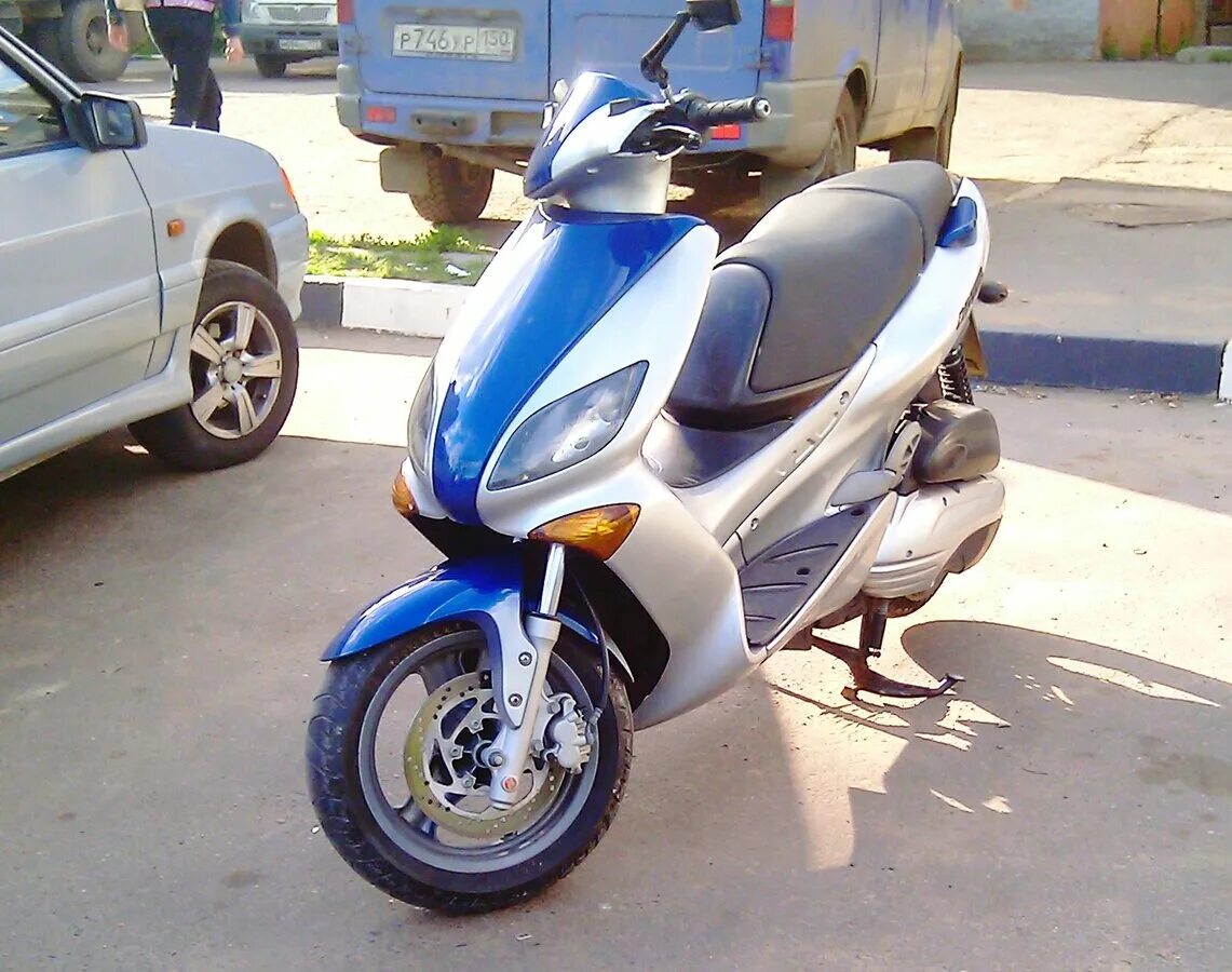 Макстер. Поголовье свиней в мире. Maxter перчатки. Макстер. Макстер.