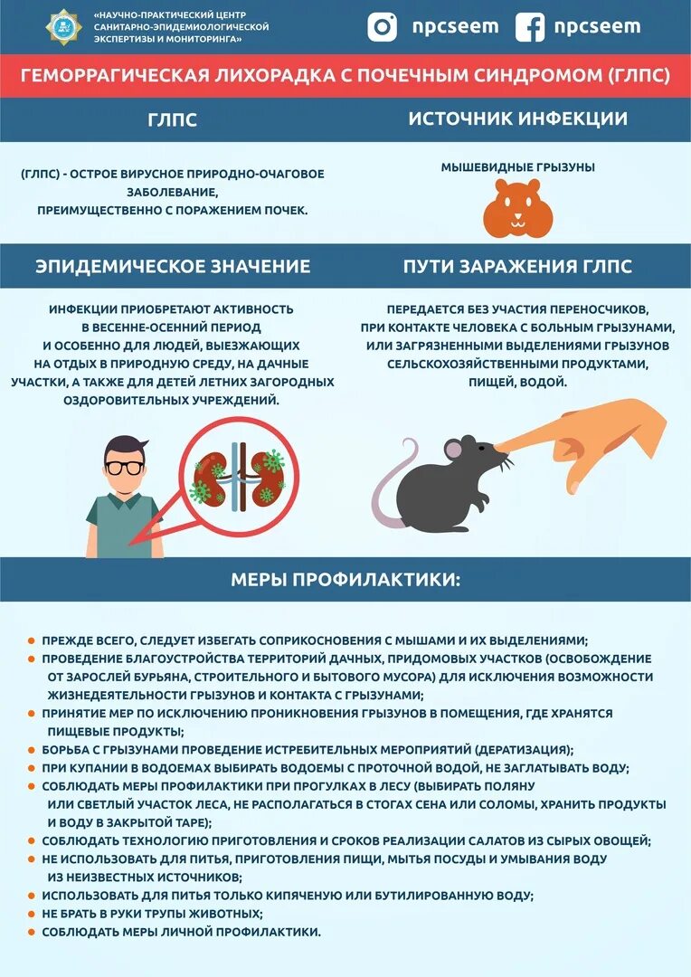 Мышиная лихорадка симптомы и лечение. Мышиная лихорадка симптомы и лечение