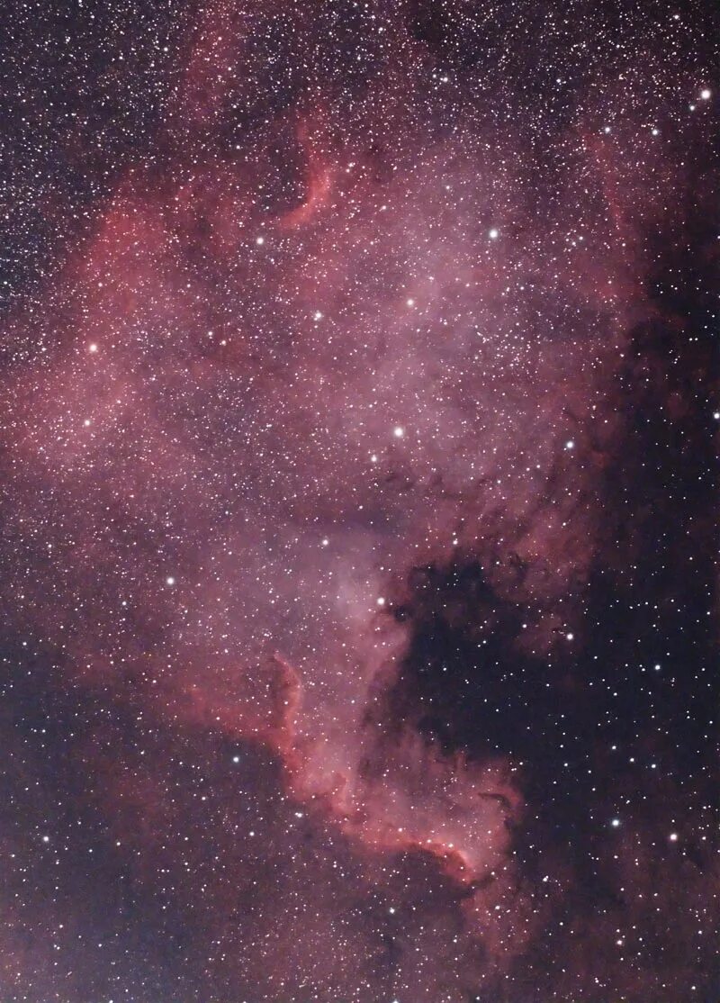 Диффузная туманность. Туманность Северная Америка. NGC 7000. Туманность Северная Америка в созвездии лебедь.