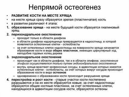 Перихондральное окостенение при непрямом остеогенезе