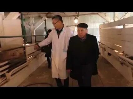 Апк янао