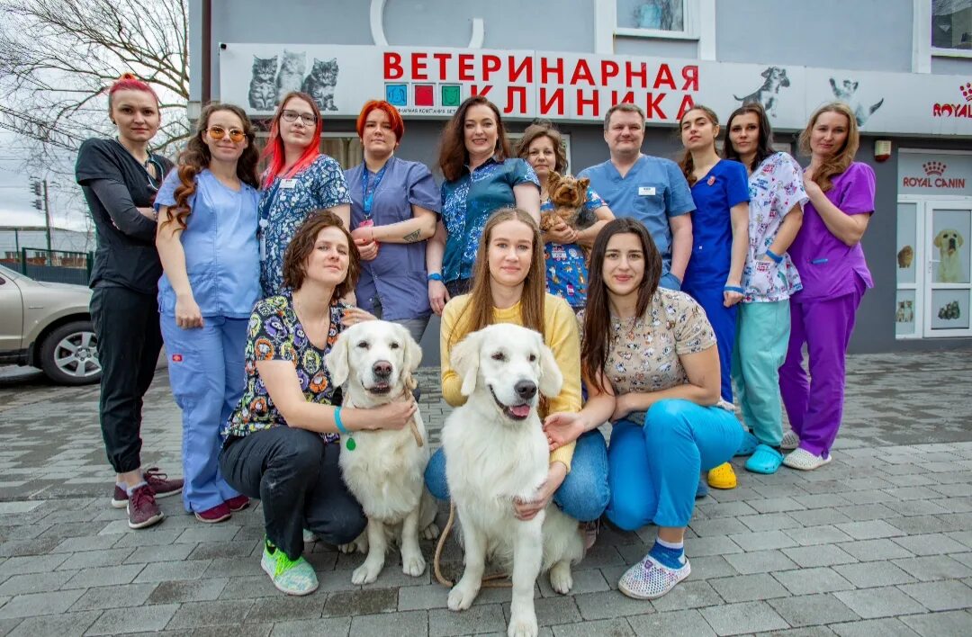 Buro39 калининград. Ветеринария офтальмология. Центральная 39 ветклиника. Вет 39. Вет 39.