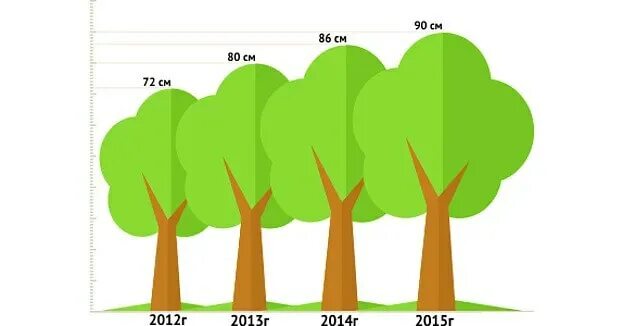 Какое деревце будет расти быстрее и развиваться. Рост дерева. Рост деревьев в год. Рост дерева за год. За сколько лет вырастает дерево.