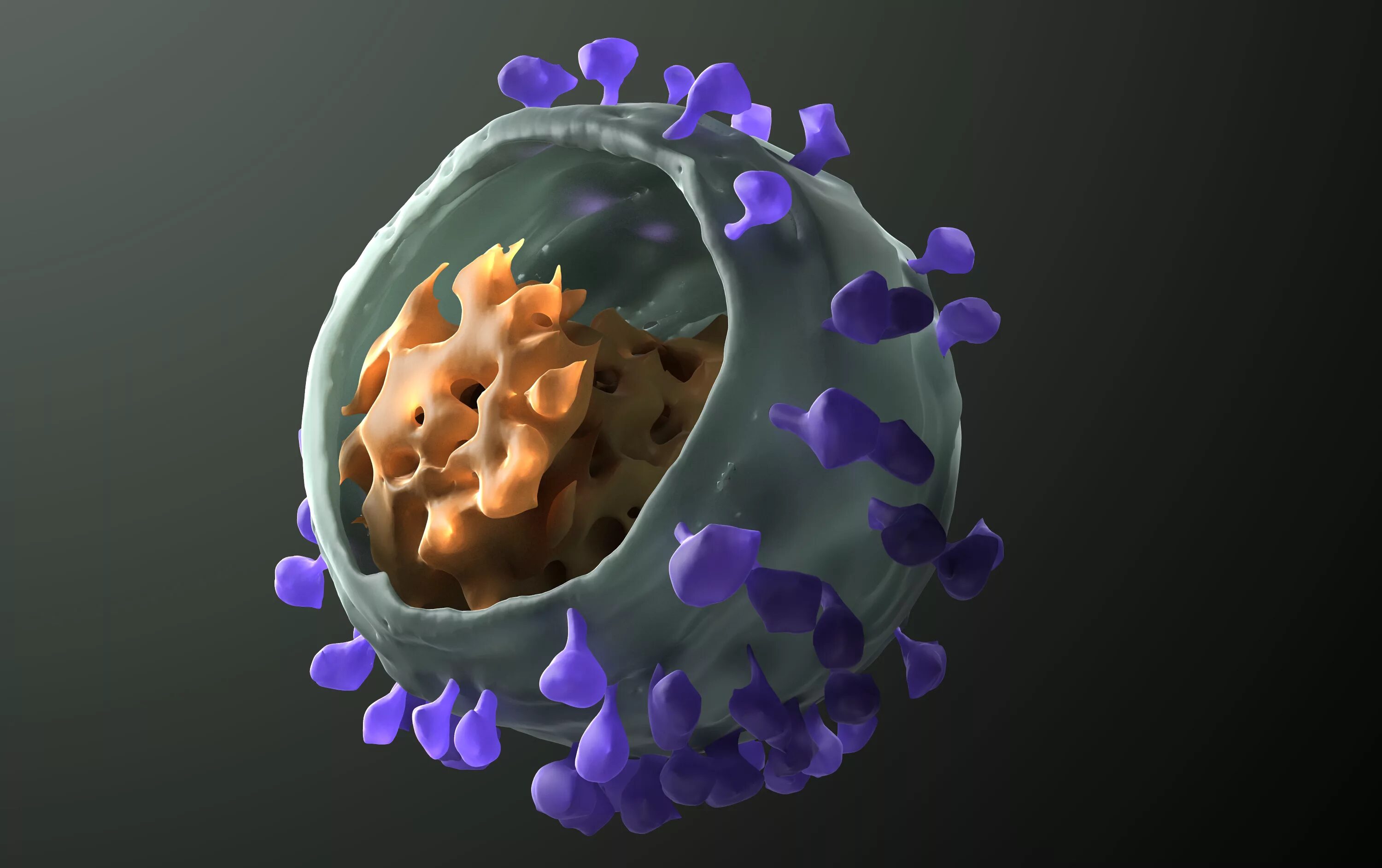 Вирус иммунодефицита человека (Human Immunodeficiency virus). Вирус иммунодефицита под микроскопом. Антитела к вирусу иммунодефицита. Вирус иммунодефицита кошек под микроскопом. Human immunodeficiency virus