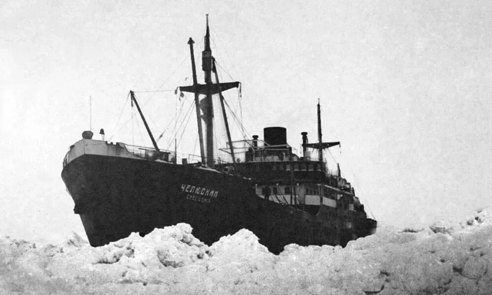 Б челюскин. Шмидт Челюскин. Арктика Челюскин. Корабль Челюскин. Челюскин 1934.