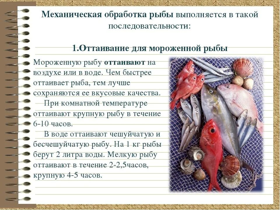 Механическая обработка рыбы. Механическая куленория обработка рыбы. Способы размораживания рыбы. Способ оттаивания мороженной рыбы.