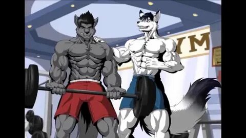 Fury muscle 18