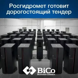 30 тендер