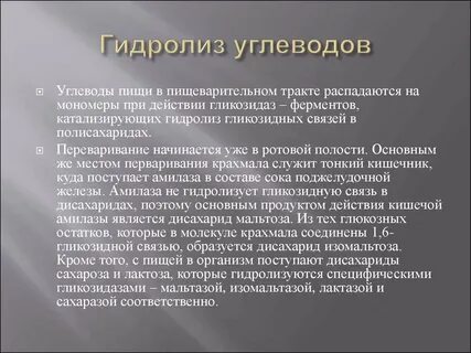 Гидролиз в организме