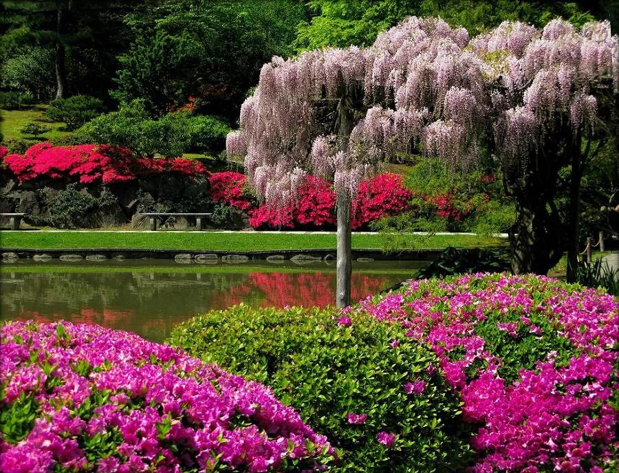 Японский сад. Парки Японии. Сады и парки Японии. Японский парк сайт