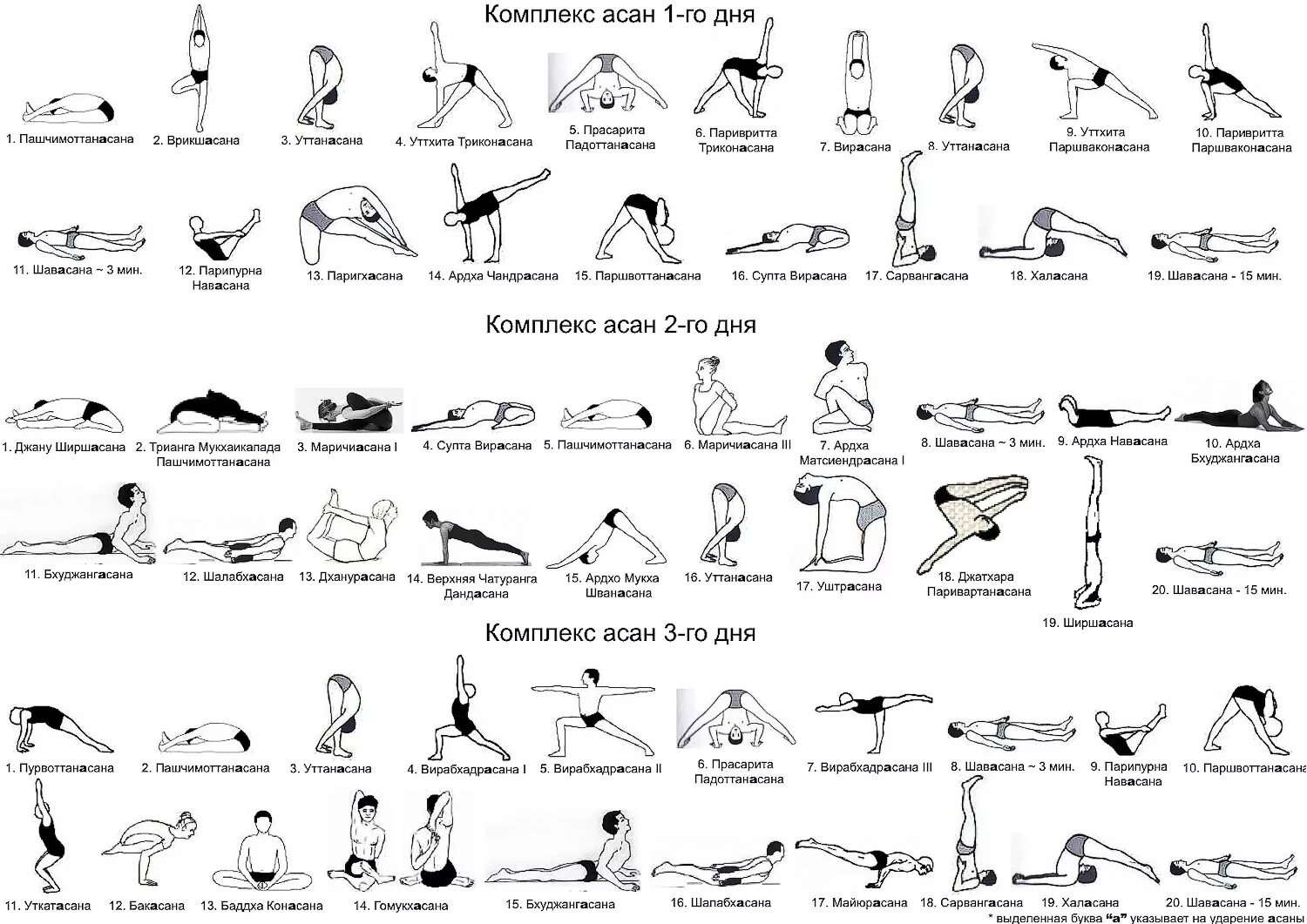 Каталог асан. Последовательность асан в хатха йоге для начинающих. Комплекс асан для начинающих по хатха йоге. Хатха йога комплекс для начинающих. Основные асаны хатха йоги для начинающих.