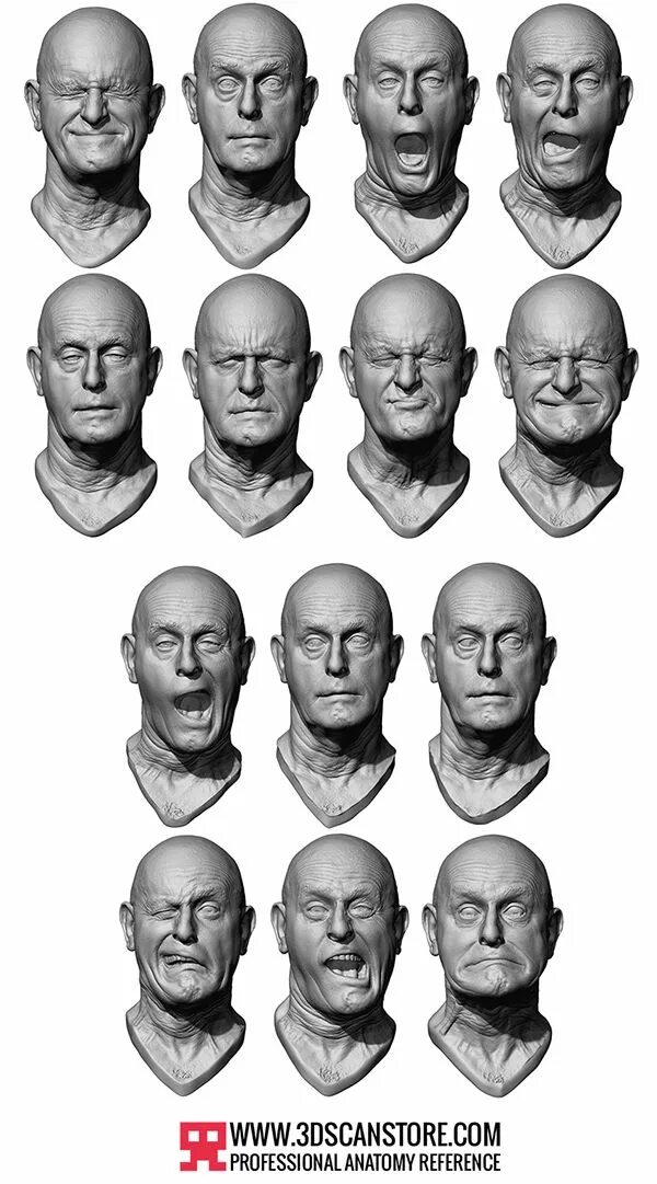 Expression reference