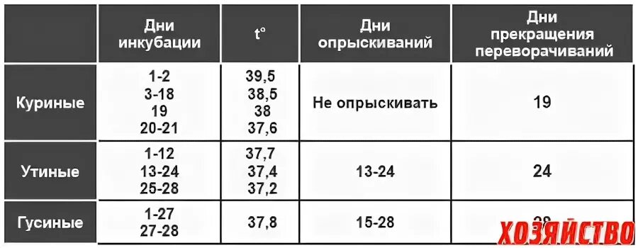 Вывод гусят в инкубаторе в домашних условиях. Таблица инкубации гусиных яиц в инкубаторе. Температура в инкубаторе для гусиных яиц таблица. Температура инкубации гусиных яиц таблица. Срок инкубации гусиных яиц в инкубаторе.