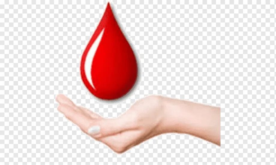 Рук донора. Капля крови. Капелька крови. Капля крови донор.
