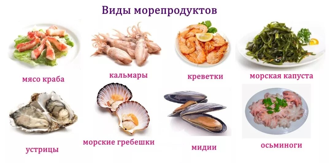 Можно ли есть морскую. Морепродукты список. Морепродукты список названий. Морепродукты описание. Название море продуктов.