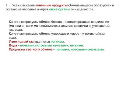 Конечные продукты обмена у человека