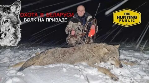 Охота на волка читать