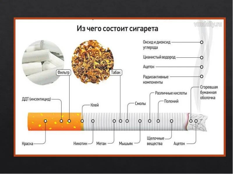 Видно ли в моче никотин. Из чего состоит сигарета. Как называются части сигареты. Строение сигареты составляющие сигареты. Курение из чего состоит сигарета.