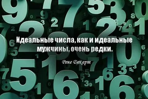 Цитаты про числа. Цитаты про числа